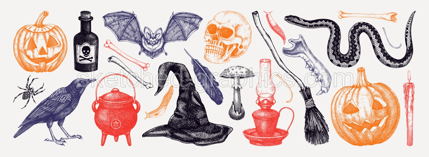 Halloween vector hand-drawn illustrations set. Skull, bones, potions, pumpkin head, poisonous mushrooms, snakes, raven sketches. Halloween design elements. Party invitation, print, banner, flyer Illustration